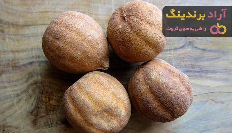 بهترین لیمو ترش عمانی + قیمت خرید عالی