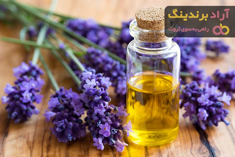راهنمای خرید روغن بنفشه اصل + قیمت عالی
