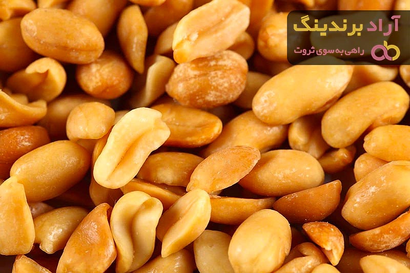 بادام زمینی سرکه نمکی مزمز | قیمت مناسب خرید عالی