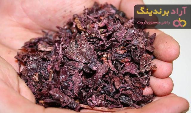 خرید جدیدترین انواع تفاله انگور برای دام