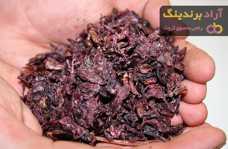 لیست قیمت تفاله انگور دی ۱۴۰۱