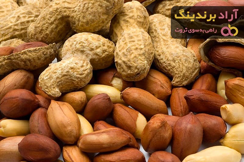قیمت بادام زمینی آستانه + پخش تولیدی عمده کارخانه