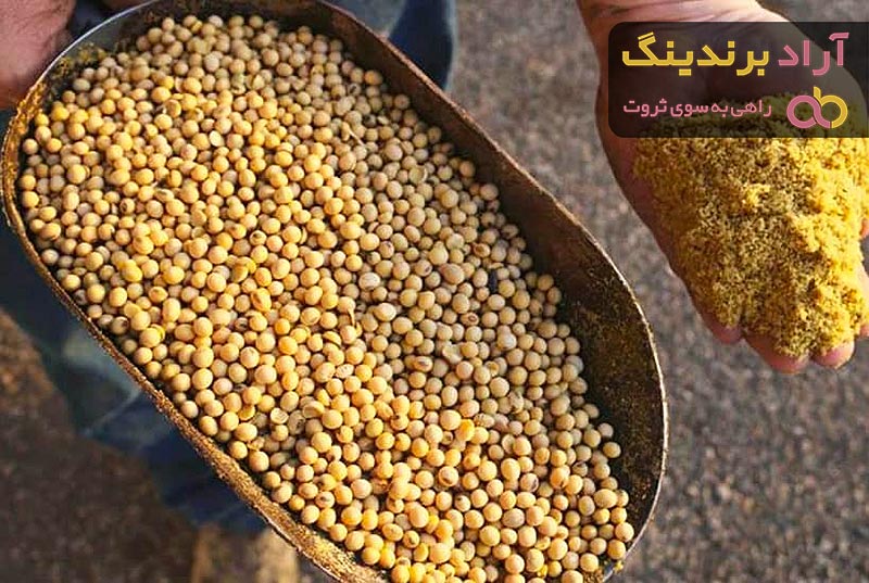 خرید و قیمت روز کنجاله سویا دامی