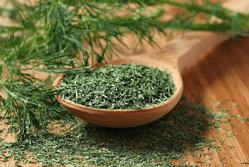 شوید خشک شده + قیمت خرید، کاربرد، مصارف و خواص