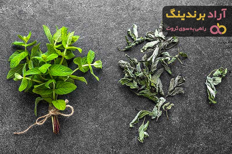 قیمت خرید نعناع خشک خانگی + طرز تهیه