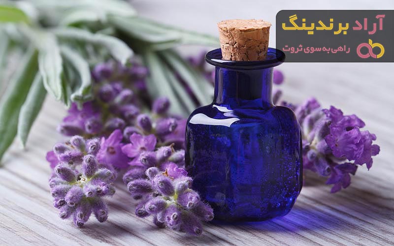 خواص گیاه اسطوخودوس برای پیشگیری از سرماخوردگی و پاکسازی مجاری تنفسی