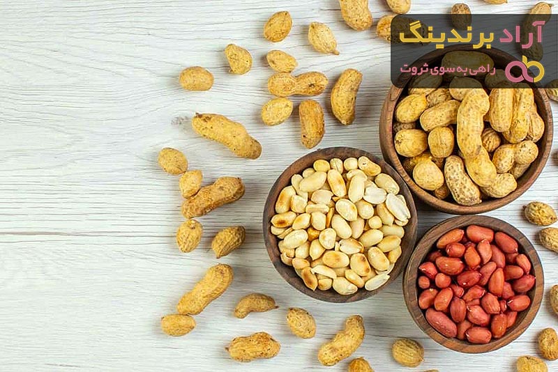 خرید و قیمت روز بادام زمینی اسپانیایی
