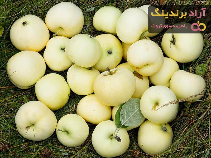 سیب سفید | فروشندگان قیمت مناسب سیب سفید