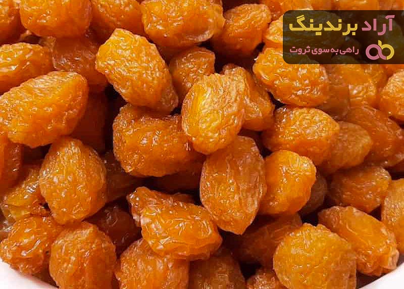 قیمت آلوچه خشک محلی + مشخصات بسته بندی عمده و ارزان