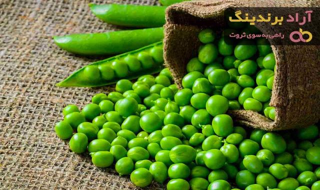 نخودفرنگی دیرپز | فروشندگان قیمت مناسب نخودفرنگی دیرپز