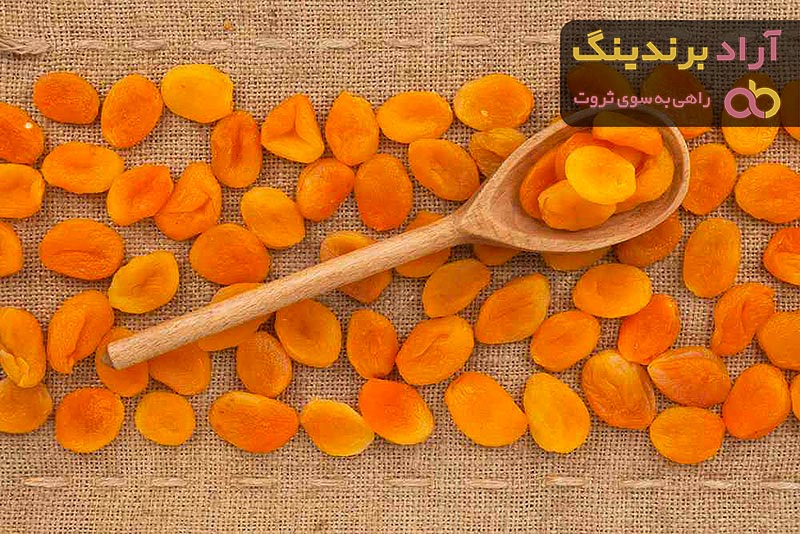 کاربرد زردآلو خشک شده در بارداری + قیمت خرید