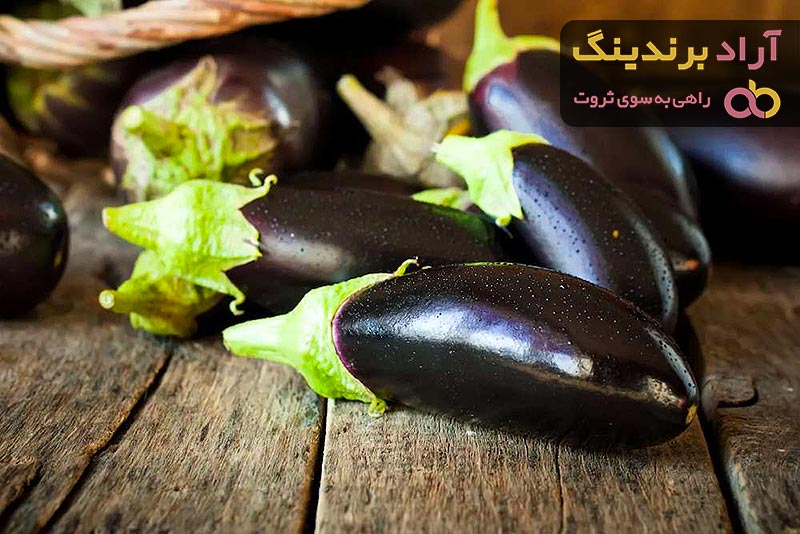 بادمجان سیاه شکم پر | خرید با قیمت ارزان