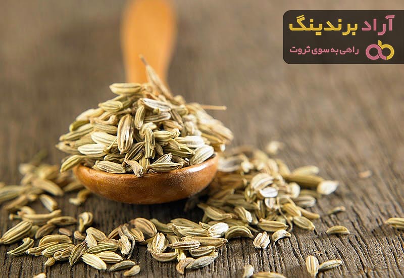 خرید زیره سبز و نکاتی پیرامون نگهداری و استفاده از آن