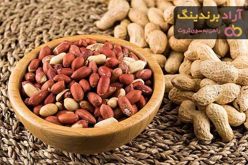 خرید انواع بادام زمینی با بهترین قیمت