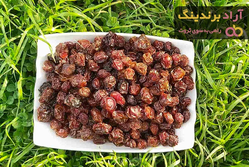 بهترین آلوچه خشک ارگانیک + قیمت خرید عالی