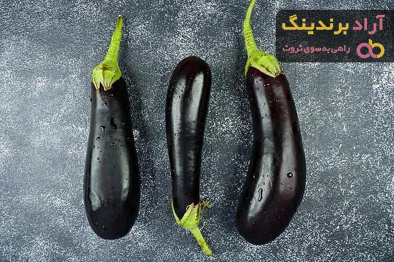 قیمت و خرید بذر بادمجان قلمی سیاه + فروش ارزان