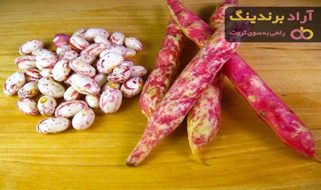 قیمت و خرید لوبیا چیتی تازه دماوند + فروش ارزان