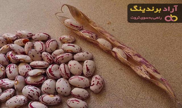 کاشت لوبیا چیتی چگونه است + قیمت خرید