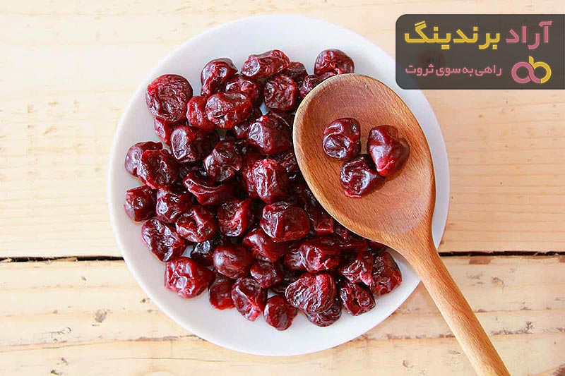 راهنمای خرید آلو قرمز خورشتی + قیمت عالی