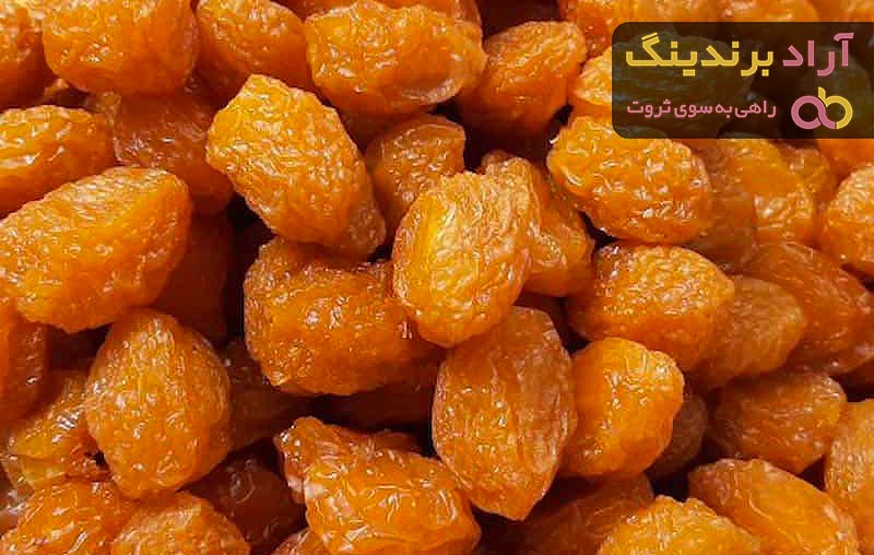 مناسب ترین قیمت آلوچه خشک در بارداری در دی ۱۴۰۱