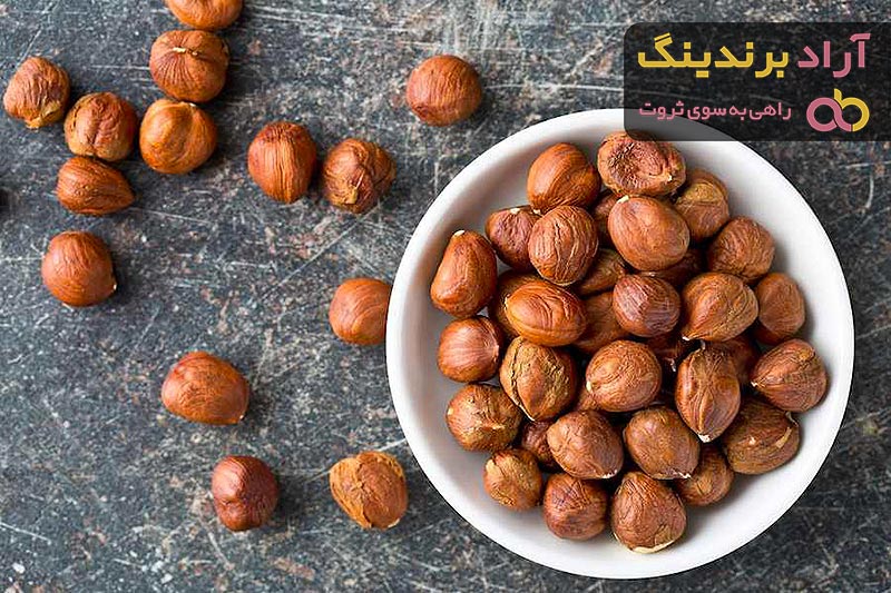 راهنمای خرید مغز فندق مزمز + قیمت عالی