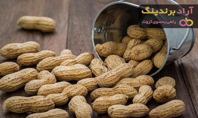 لیست قیمت  بادام زمینی غلاف دار 1401