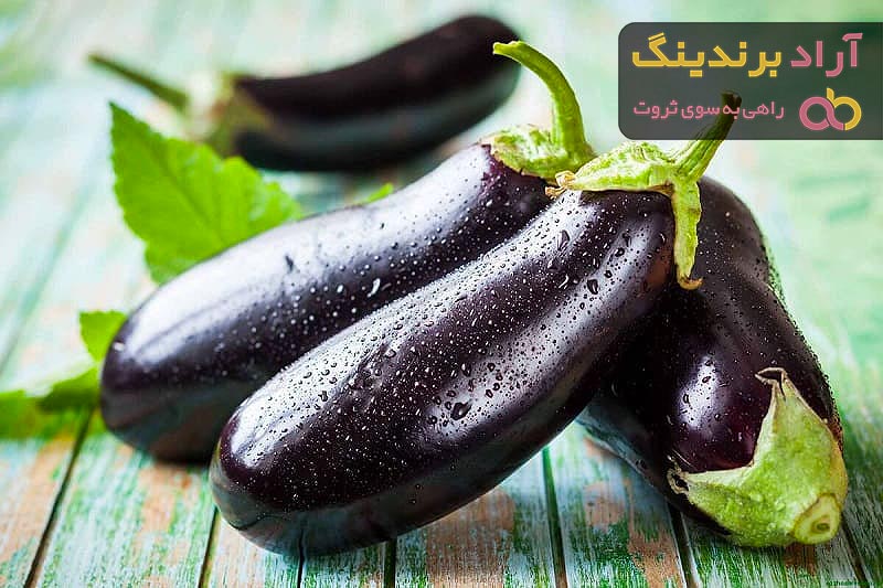 قیمت و خرید بادمجان سیاه افغانی + فروش ارزان