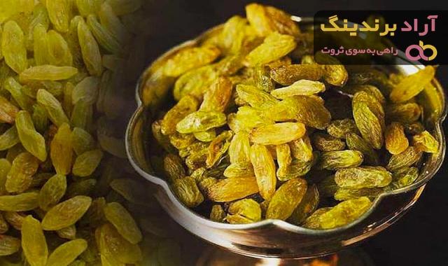 قیمت کشمش سبز ممتاز + مشخصات بسته بندی عمده و ارزان