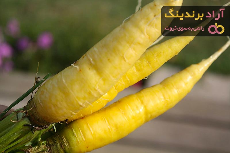 مرجع قیمت انواع هويج زرد + خرید ارزان