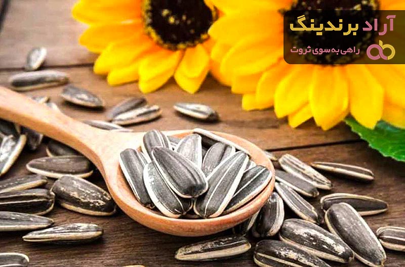 خرید مغز تخمه آفتابگردان شور + بهترین قیمت