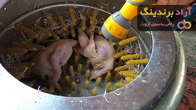 خرید و قیمت دستگاه پرکن مرغ خانگی