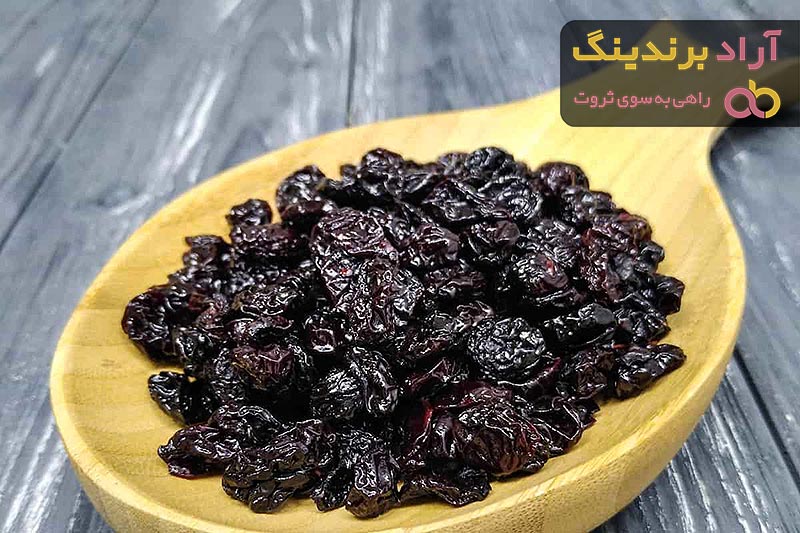 خرید آلوچه خشک مراغه ترش + بهترین قیمت