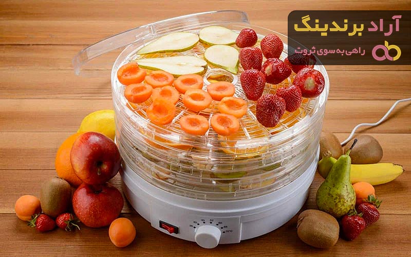 خرید دستگاه میوه خشک کن خانگی با قیمت استثنایی