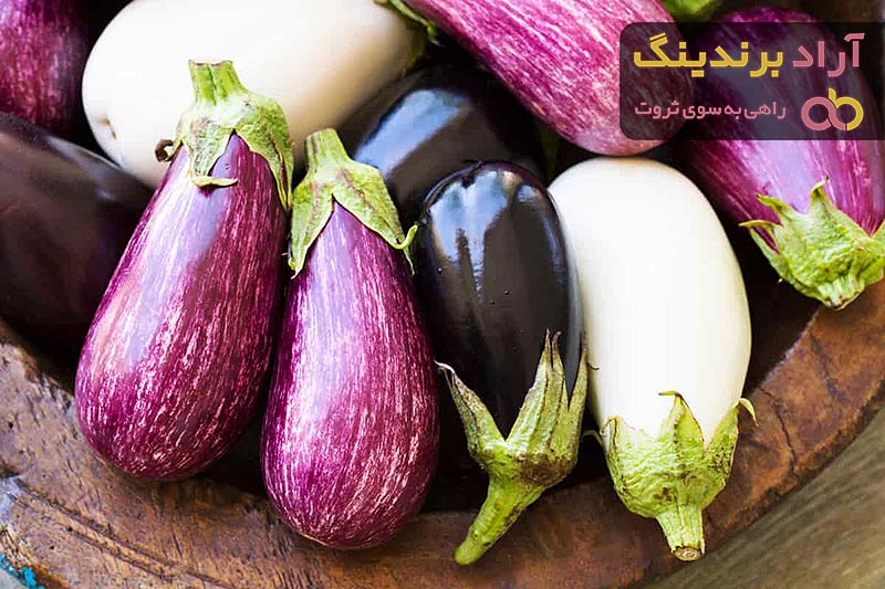 قیمت خرید بادمجان سیاه شکم پر + طرز تهیه