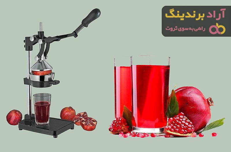 معرفی دستگاه آبگیری انار + بهترین قیمت خرید