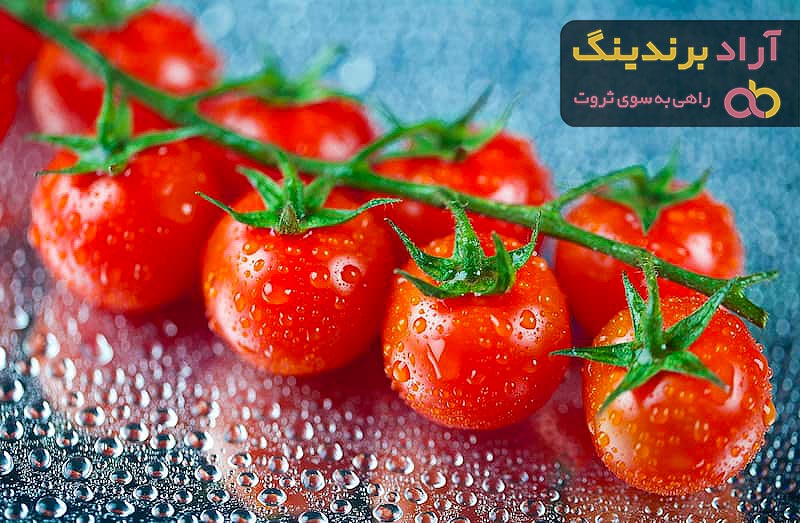 آشنایی با گوجه فرنگی مارول + قیمت استثنایی خرید گوجه فرنگی مارول