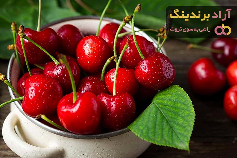 قیمت خرید آلبالو گیلاسی + مزایا و معایب