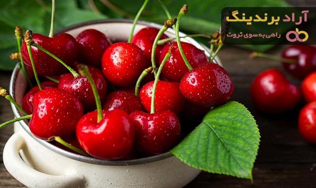 قیمت خرید آلبالو گیلاسی + مزایا و معایب
