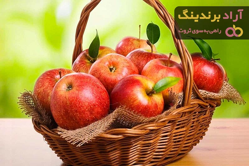 قیمت سیب خارجی قرمز + پخش تولیدی عمده کارخانه