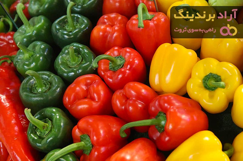 فلفل دلمه ای چه خاصیتی دارد + قیمت خرید