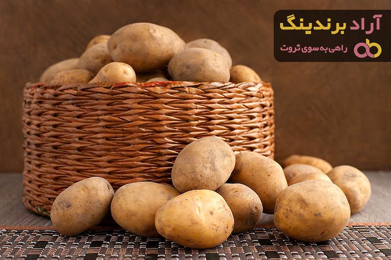 سیب زمینی شیرین | فروشندگان قیمت مناسب سیب زمینی شیرین