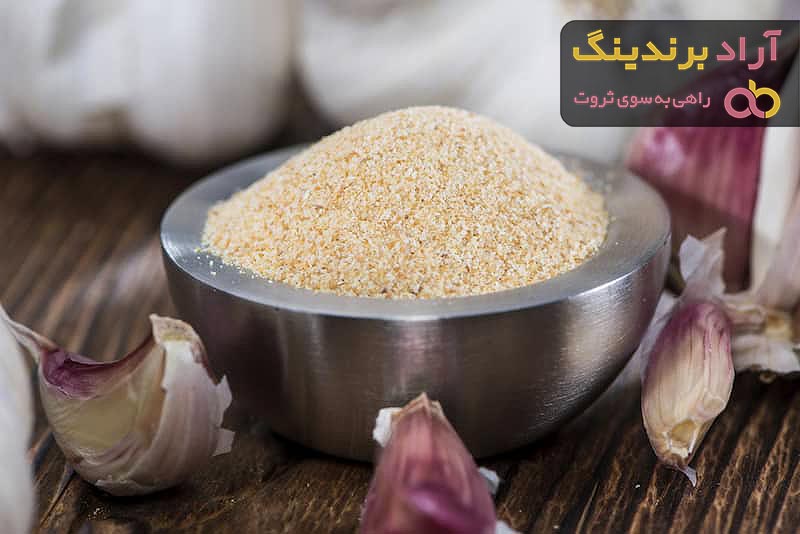 خرید جدیدترین انواع پودر سیر سفید