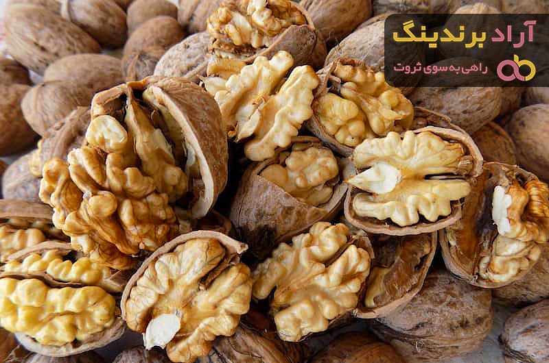 قیمت مغز گردو تویسرکان + پخش تولیدی عمده کارخانه