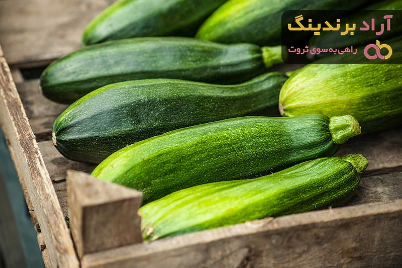 خرید کدو سبز خورشتی با قیمت استثنایی
