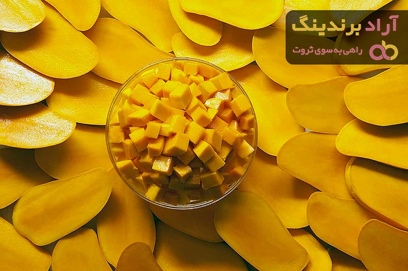 خرید و قیمت روز ترشی انبه پاکستانی
