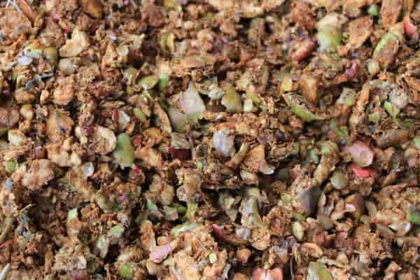 قیمت تفاله سیب + خرید انواع متنوع تفاله سیب