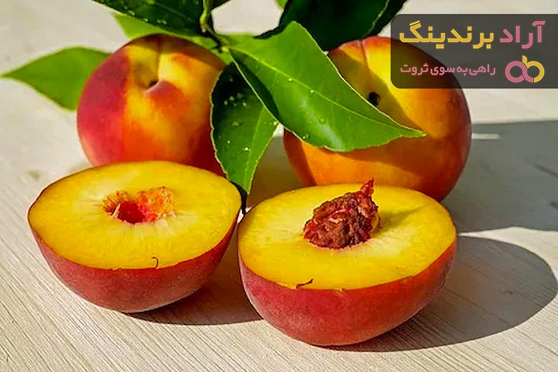 قیمت هلو آبدار + خرید انواع متنوع هلو آبدار