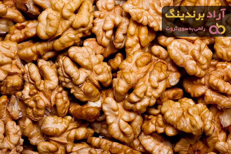 مغز گردو کیلو چند + قیمت خرید