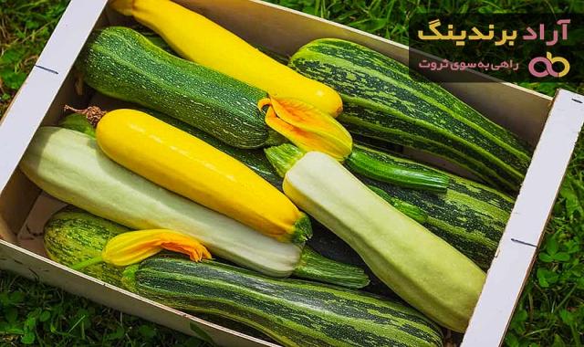 کدو سبز برای لاغری | خرید با قیمت ارزان