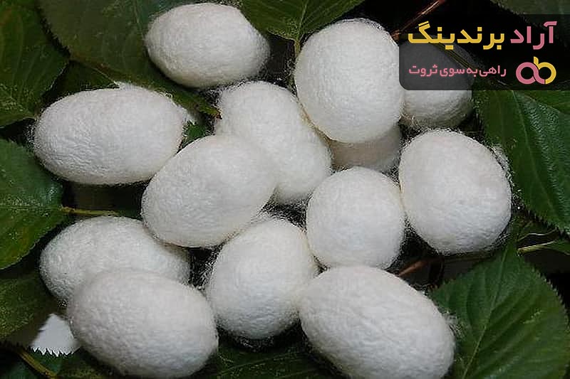 راهنمای خرید پلیمر طبیعی و مصنوعی + قیمت عالی